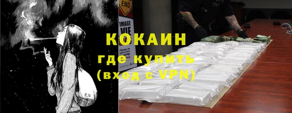 индика Белокуриха