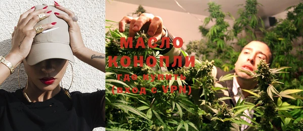 индика Белокуриха