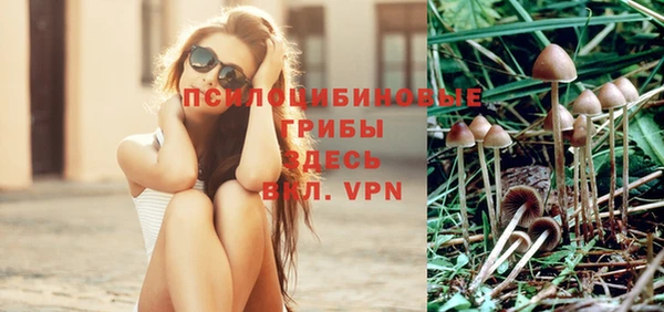 ECSTASY Белоозёрский
