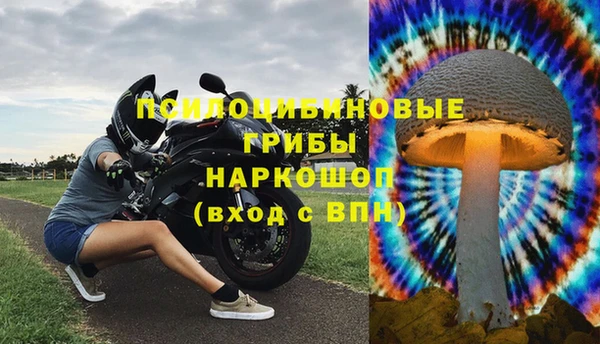 ECSTASY Белоозёрский