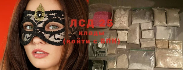 индика Белокуриха