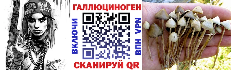 гидра рабочий сайт  Ворсма  Псилоцибиновые грибы мицелий  мориарти Telegram  сколько стоит 
